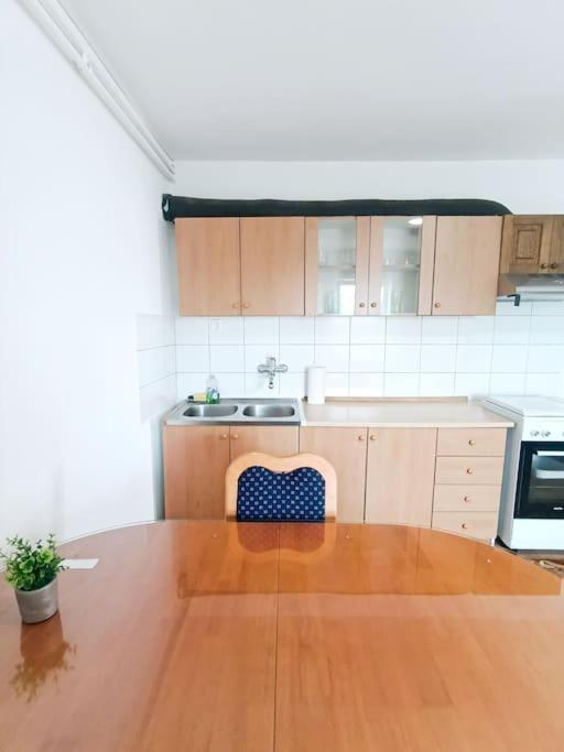 Renovated And Quiet Ljubljana